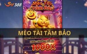Mèo Tài Tầm Bảo
