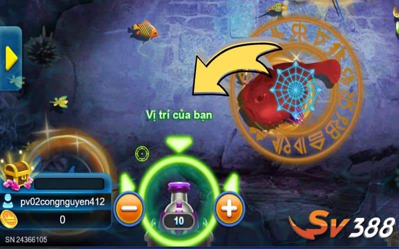 Tùy chỉnh mức cược và bắt đầu săn cá