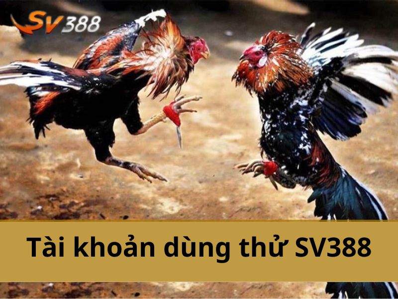 Tài khoản dùng thử SV388 là một hình thức trải nghiệm miễn phí