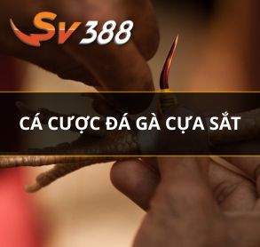 Đá Gà Trực Tuyến – Sân Chơi Cá Cược Đá Gà Đẳng Cấp Của SV388